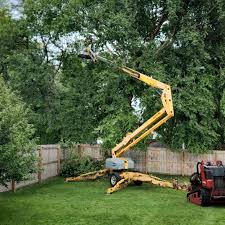 Best Commercial Tree Services  in Rothsville, PA